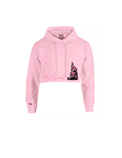 Pink crop top hoodie